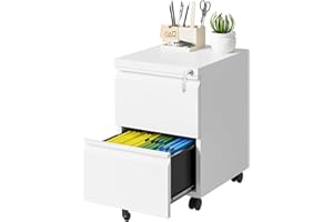 2 Drawers File Cabinet, Metal Office Locking File stoage Cabinet, with Lock and Wheels Small Filing Cabinet Organizer, for Ho