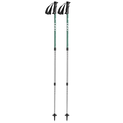 POLES EAGLE LEKI FOR TREKKING 6402011