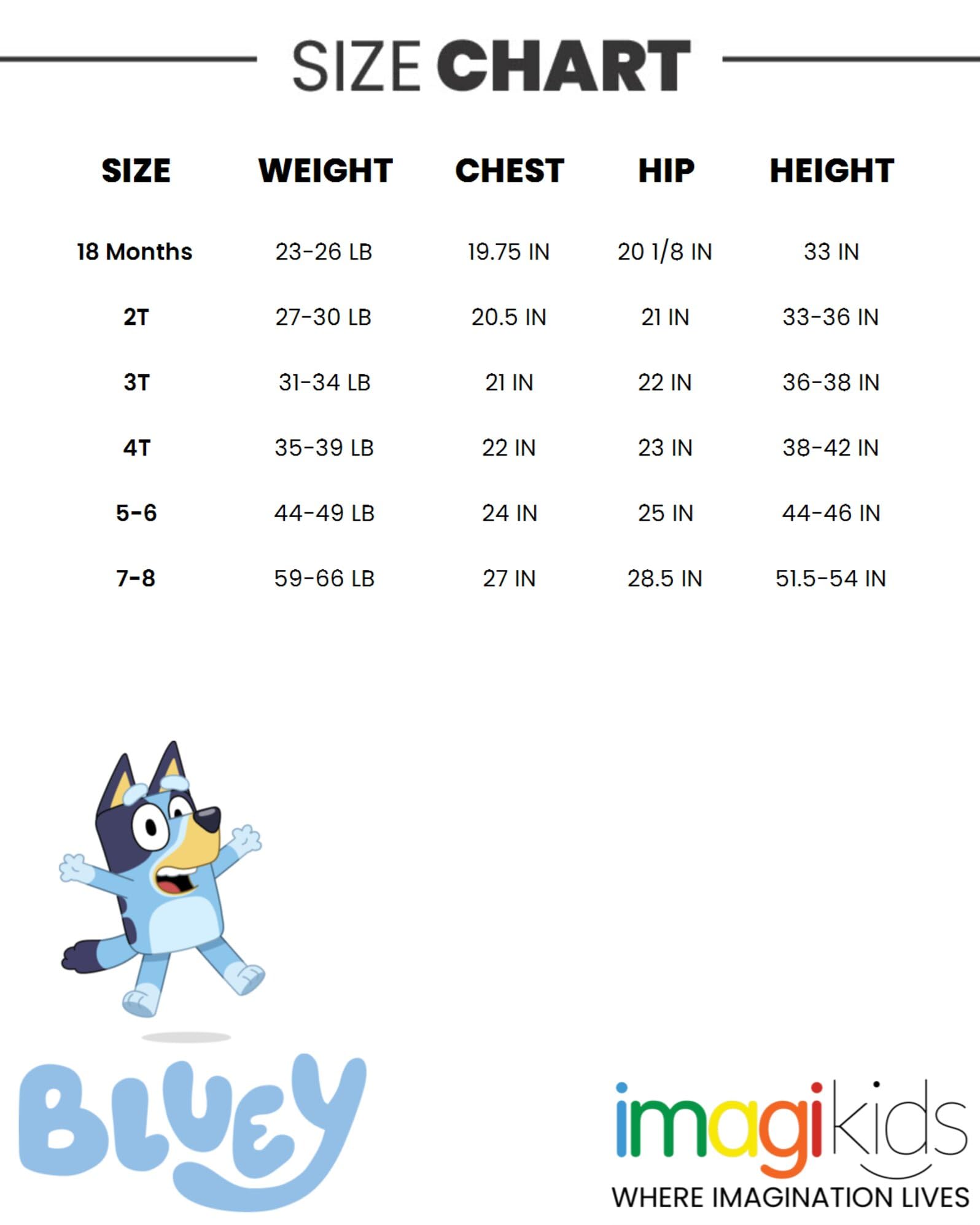 Bluey One Piece Bathing Suit Infant to Big Kid Sizes (18 Months - 10-12)