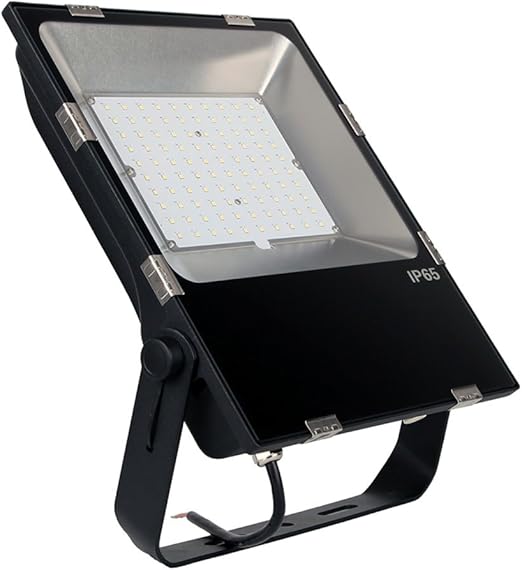 ZHIXIANG 1Pcs 100W LED Flood Light 6000K,13000LM (Luz De Día ...