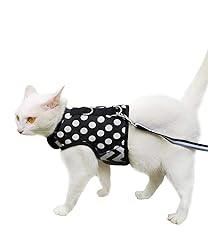Yizhi Miaow Cat Harness and Leash for Walking