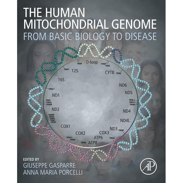 The Human Genome Project: Cracking the Genetic Code of Life
