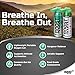 Boost Oxygen- 95% Pure Aviator’s Oxygen- 2 Liters