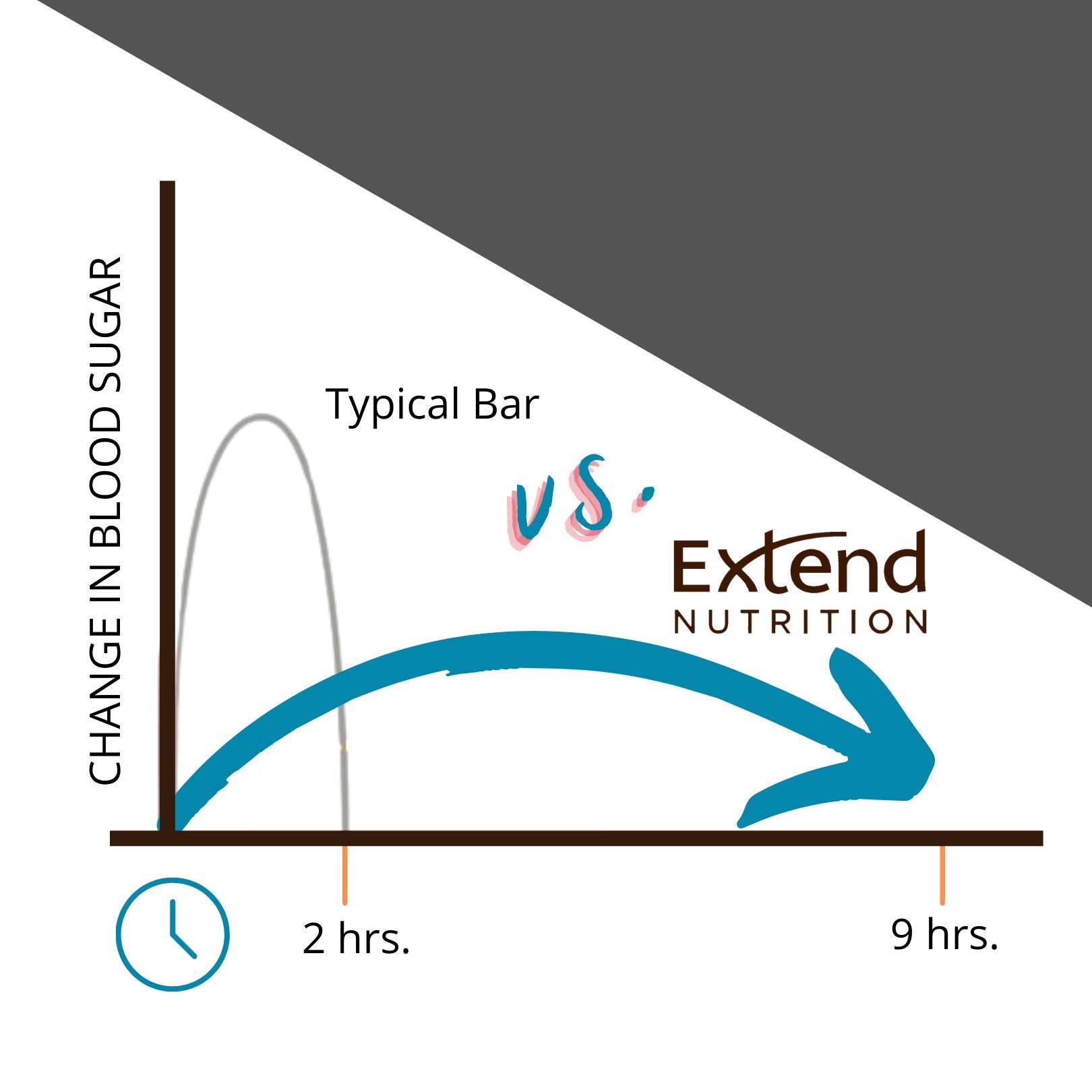 Extend Nutrition Sugar Free Keto Bars, Perfect Diabetic Snacks for Adults and Kids, High Protein Bars for Hunger Control & Steady Energy, Low Carb, Keto Friendly, Chocolate Peanut Butter, 15 Count