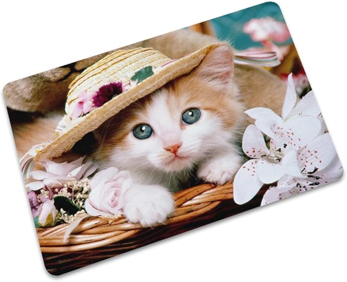 Amazon.de: YiHao Wasserabsorbierende rutschfeste haushalts gummitür