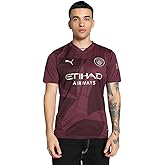 Men’s Manchester City FC 2024/25 Replica Third Soccer Jersey - Burgundy