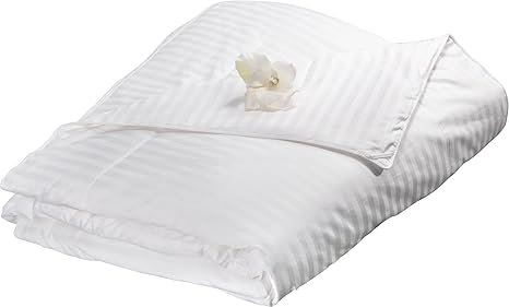 Buy Aus Vio 100 Percent Summer Silk Filled Comforter Queen Online