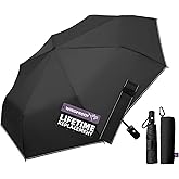 LILAC Travel Windproof Umbrella for rain Compact Small Travel size QuickDry | Auto open/close Lightweight Portable Perfect for backpack car travel 43" windproof, TSA-approved. Gift for Women Men Kids