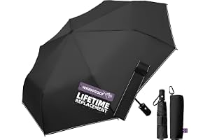 LILAC Travel Windproof Umbrella for rain Compact Small Travel size QuickDry | Auto open/close Lightweight Portable Perfect for backpack car travel 43" windproof, TSA-approved. Gift for Women Men Kids