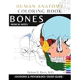 Human Anatomy Coloring Book: Bones. Medical Notes | Detailed illustrations | Learn the Skeletal System: Anatomy and Physiology Coloring Workbook with ... Nurses, Doctor and all lovers of Anatomy