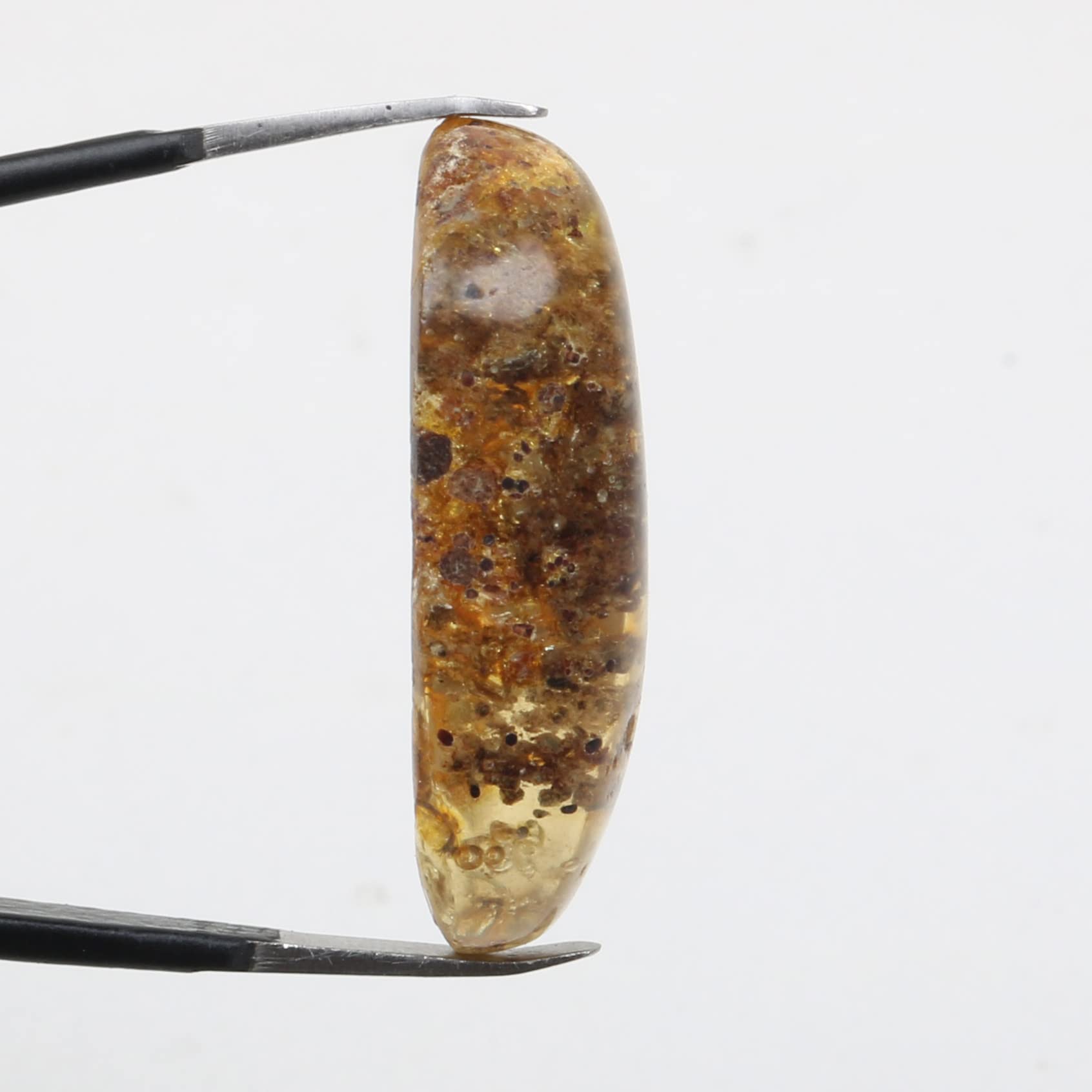 REAL-GEMS Genuine Myanmar Amber Stone Oval Shape with Fossils Insects Inclusions