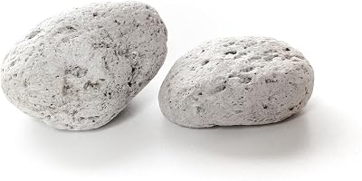 General Healthcare 2pk Natural Pumice Stone Foot Callus Remover Dead Skin