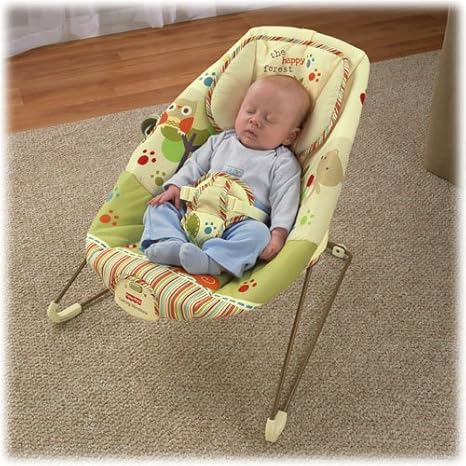 fisher price cosy cocoon bouncer