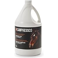 Canpressco Camelina Oil 4 L Jug | Omega 3 Oil Supplement for Equine, Canine and Feline Joint, Coat and Skin Health