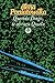 Querido Diego, te abraza Quiela (Spanish Edition)
