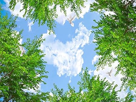 Lhdlily 3d Wallpaper Fresco Mural Sticker China Map Cloud High