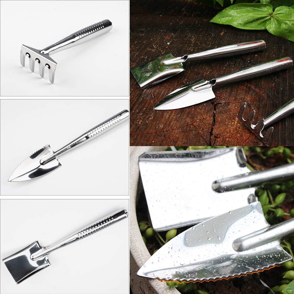 peinat Garden Tool Set, 3PCS Garden Tools + 20PCS Inserted Card (Small Shovel/Cultivator Hand Rake/Transplant Trowel) Stainless Steel Heavy Duty Gardening Kit for Kids Gardening Tools Set : Garden & Outdoor