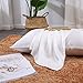 Natural Mulberry Silk Pillowcase for Hair and Skin Standard Size with Hidden Zipper, Ultra Smooth and Soft Breathable Cooling Silk Pillow case, Gifts for Women Men, 1pc (Silver, 20