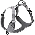 TRUE LOVE Dog Harness Outdoor Adventure II Reflective Vest with 2 Leash Attachments Matching Leash and Collar Available TLH6071