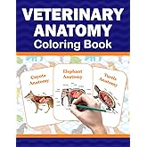 Veterinary Anatomy Coloring Book: It Provides Detailed Information On The Bones And Muscles Anatomy Of Dog, Cat and Horse. It Also Provides The Anatomy Of Many Other Animals.