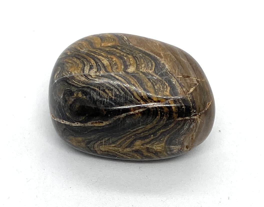 Stromatolite Medium Crystal Tumbled Stone - Eneregy In Harmony - 1 Pc