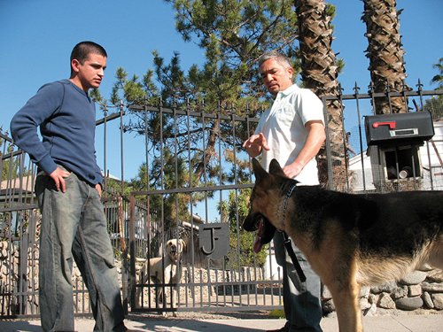 Der Hundeflusterer Staffel 2 Movies Tv Amazon Com