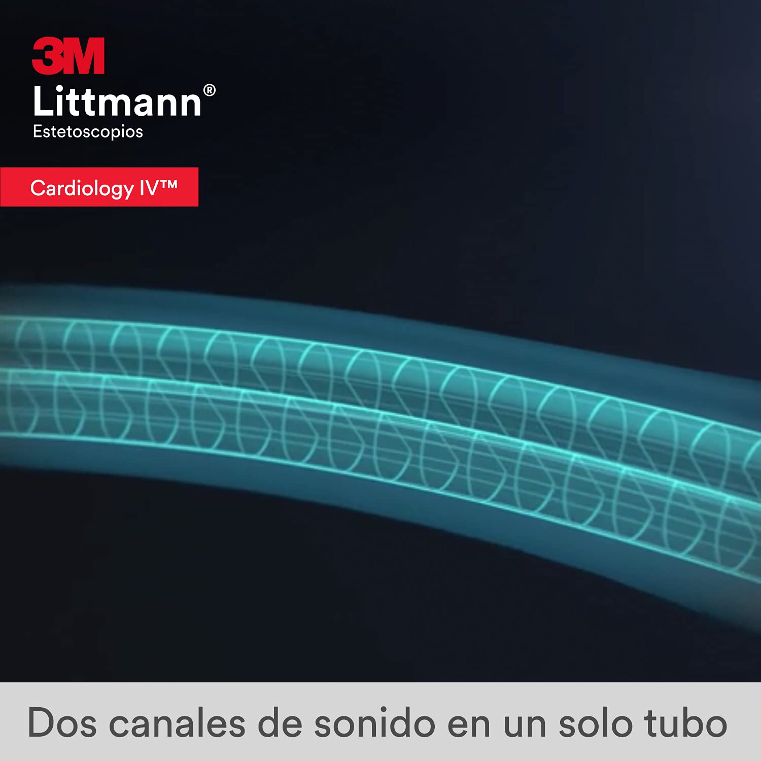 3M Littmann Cardiology IV Diagnostic Stethoscope, 6152, More Than 2X as Loud, Weighs Less, Stainless Steel Chestpiece, 27