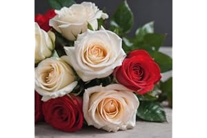 KaBloom PRIME NEXT DAY DELIVERY - Holiday Collection: 12 Red and white Roses .Gift for Birthday, Sympathy, Anniversary, Get Well, Thank You, Valentine, Mother’s Day Fresh Flowers