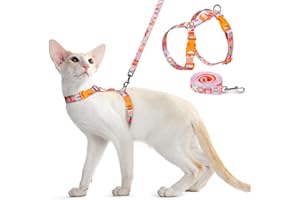 Dooradar Cat Harness and Leash, Escape Proof Adjustable Kitten Vest, Lightweight Soft Pet Straps, Easy Wearing for Small Medium Kitty Safe Walking Travel Control, Rainbow, S