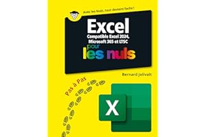 Excel 2024 Pas à Pas pour les Nuls (Informatique pour les nuls) (French Edition)
