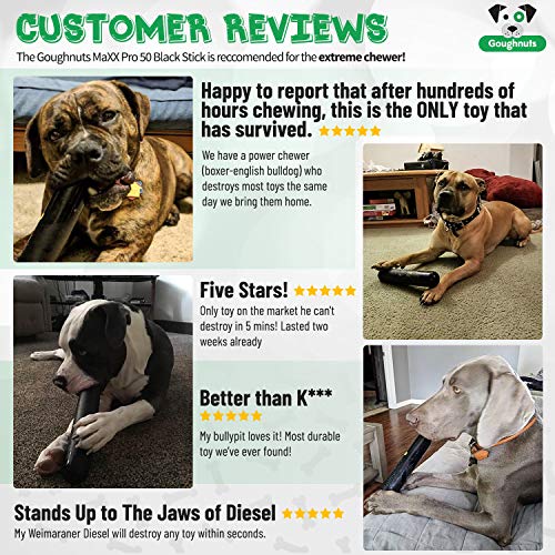 Goughnuts MaXX Pro 50 Stick Large (for Dogs 60120 Pounds) and