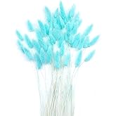 DTXMOH Turquoise Bunny Tails Dried Flowers 120pcs, 17 inch Dried Lagurus Ovatus Rabbit Tail Grass Bunch for Floral Arrangement, Party, Boho Home Decor and DIY Crafts