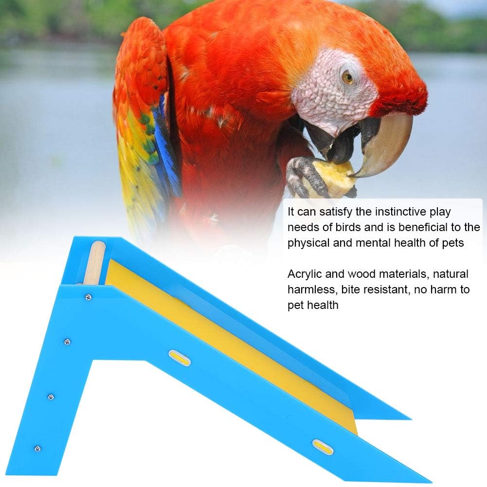 Parrot Slide Toys Bird Training Educational Toys Parrot Climbing Ladders Perches Toys for Parakeet Budgie Cockatiel Conure Lovebird Finch - Image 4