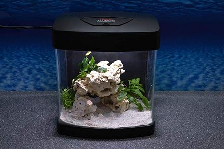 Amtra Nano Aquarium Xcube in schwarz Komplettaquarium LED Beleuchtung Mondlicht Filter Komplett Becken Tank Tag Nacht