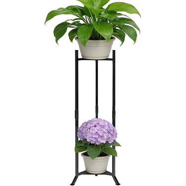 Amazon.com New Releases: The best-selling new & future releases in Plant  Stands