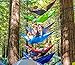 Cali Pro Gear Double Den Camping Hammock With 2 Free Bonus Adjustable Tree Friendly Nylon Straps and Steel Carabiners - Ultralight Portable Compact Parachute Nylon