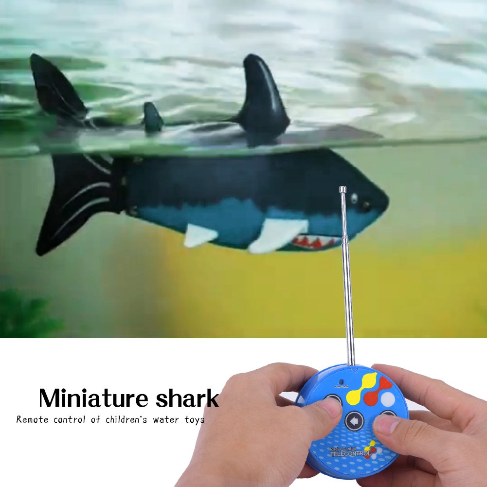 radio control shark