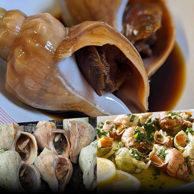 Amazon 北海道産青ツブ貝 加熱用１kg 飯坂冨士商店 貝類 通販