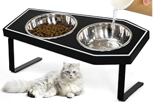 OPELETNNT Cat Food Bowls Elevated, Gothic Cat Bowls, Raised Cat Bowls for Indoor Cats with Non-Slip Stand & Wood Board, Stainless Steel and Whisker Friendly Food Bowls