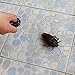 Tipmant RC Cockroach Insect Bug Remote Control Car Vehicle Electric Animal Toy Kids Gift