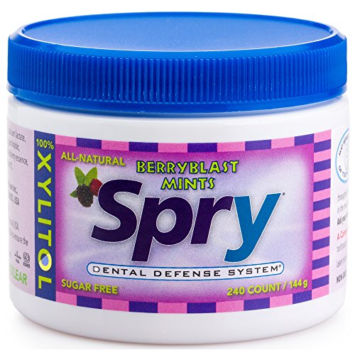Spry Xylitol Mints, Natural Berry Blast, 240ct