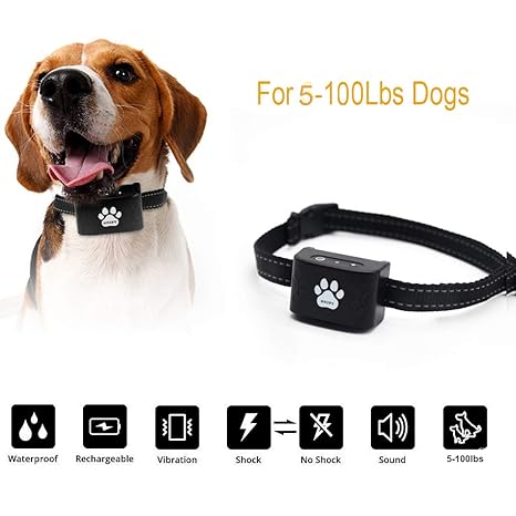 most humane shock collar