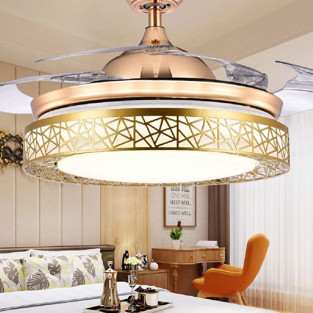 RS Lighting LED Gold Creative Invisible Fan Light Modern Home Living Room Bedroom Fan Dining Room 42 Inch Mute Fan Motor Bird's Nest Ceiling Fan Light (Gold-01)