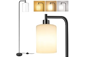QiMH Floor Lamps for Living Room, Modern Floor Lamp with Frosted Glass Shade, Industrial Standing Lamp with LED Bulbs, Tall Pole Lamp for Bedroom Home Office (Black)