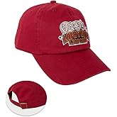Desert Cactus Lafayette College Baseball Hat CITLS Leopards Brimmed Embroidered Hats Cap Adjustable Cloth Strap Adult (Style A)