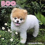 Boo Wall Calendar (2016)