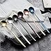 Long Handle Spoon, Circular spoon,Delicate Elegance Stainless Steel Spoon Set,Mixing Spoon,Ice Cream Spoon,Long Spoon Iced Tea Spoon, Coffee Spoon,Dessert Spoon,Milkshake Spoon,Set of 6(Ice spoo