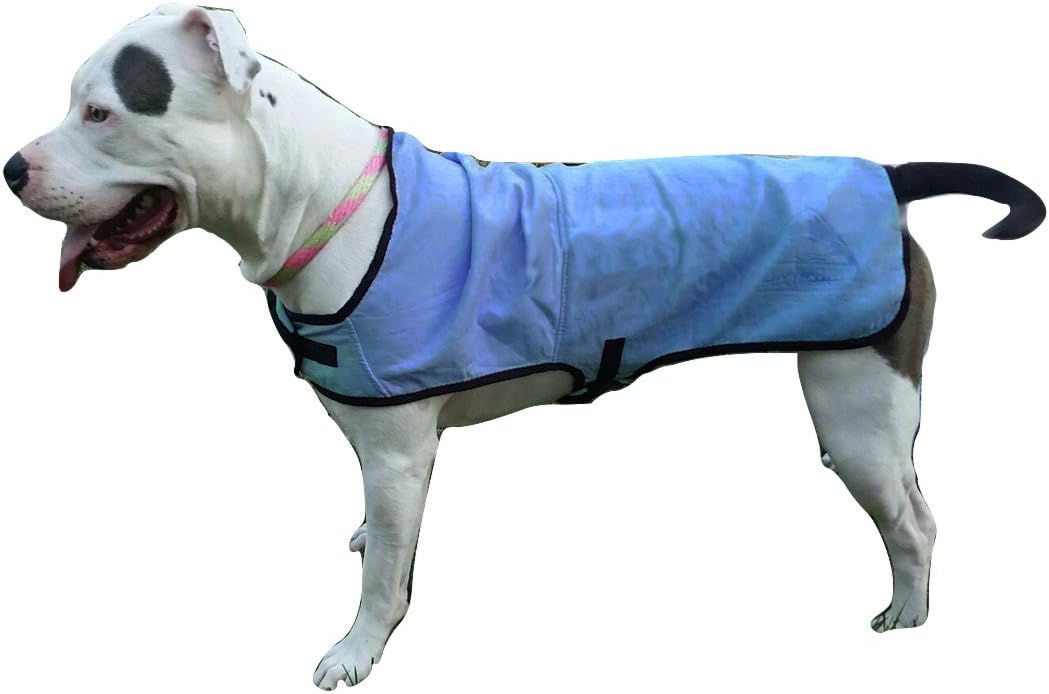 ArcticBlu Dog Cooling Vest, Durable Lightweight UV Protection and Cooling Vest For Your K-9, Blue
