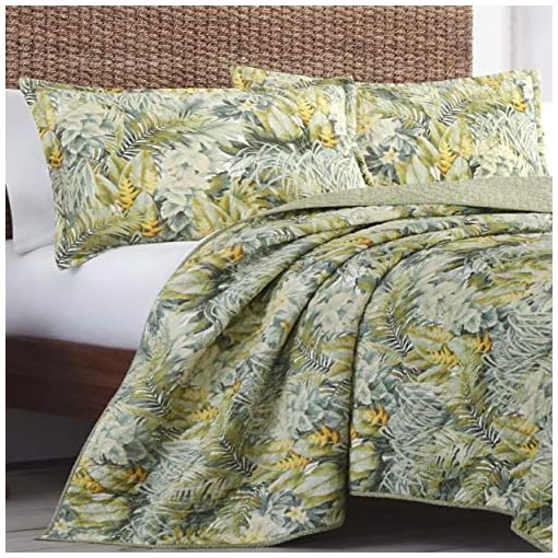 Tommy Bahama Cabana 2025