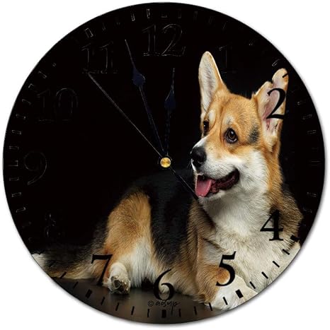 corgi sweater amazon